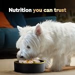 CESAR Wholesome Bowls Wet Dog Food – Chicken, Carrots, Barley & Green Beans - Beef, Chicken, Carrots & Purple Potato, 6x85g Variety Pack