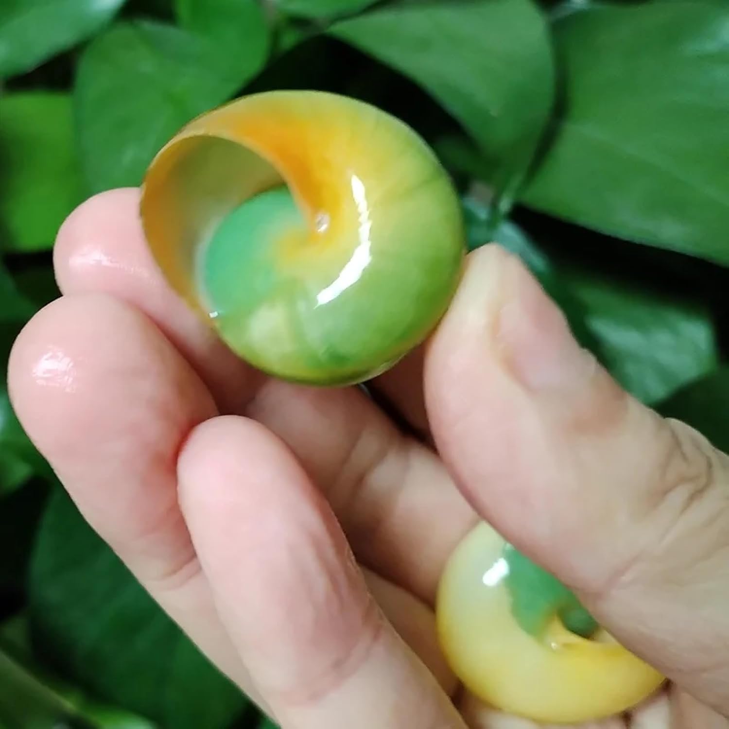 Conch Shells for Decoration,2Pcs 3cm-4cm Green Snail Asperitas Bimaensis Shell Specimen Rare Mystery Snail Fish Tank Accessory,Beach Wedding Decor Jewelry