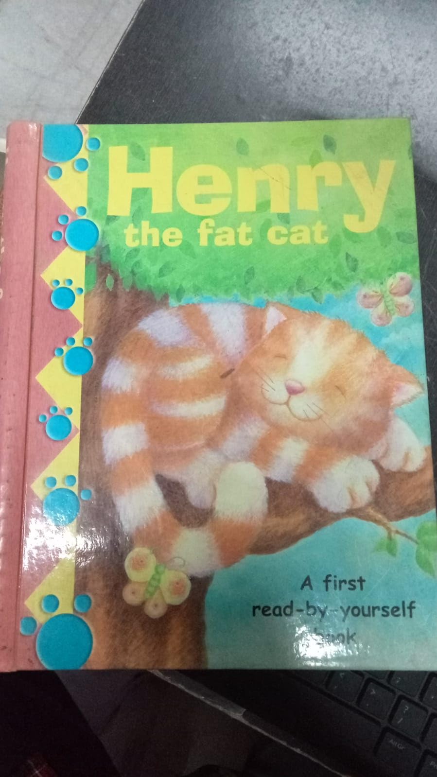 Henry the Fat Cat