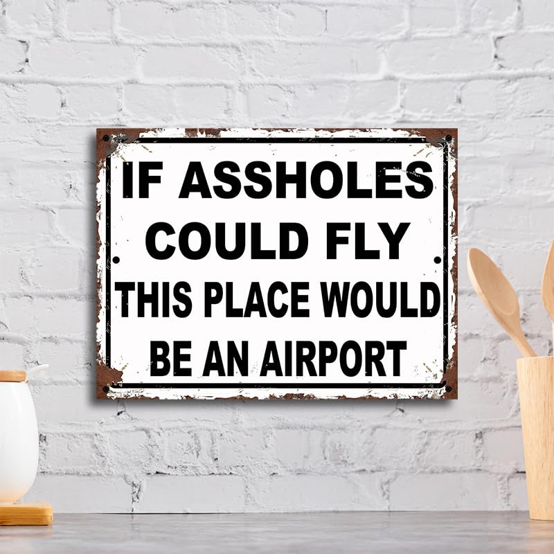 Is ass***** Could fly this place would be an Airport Funny Theme Retro style metal tin sign/plaque (10" x 8") - Image 3