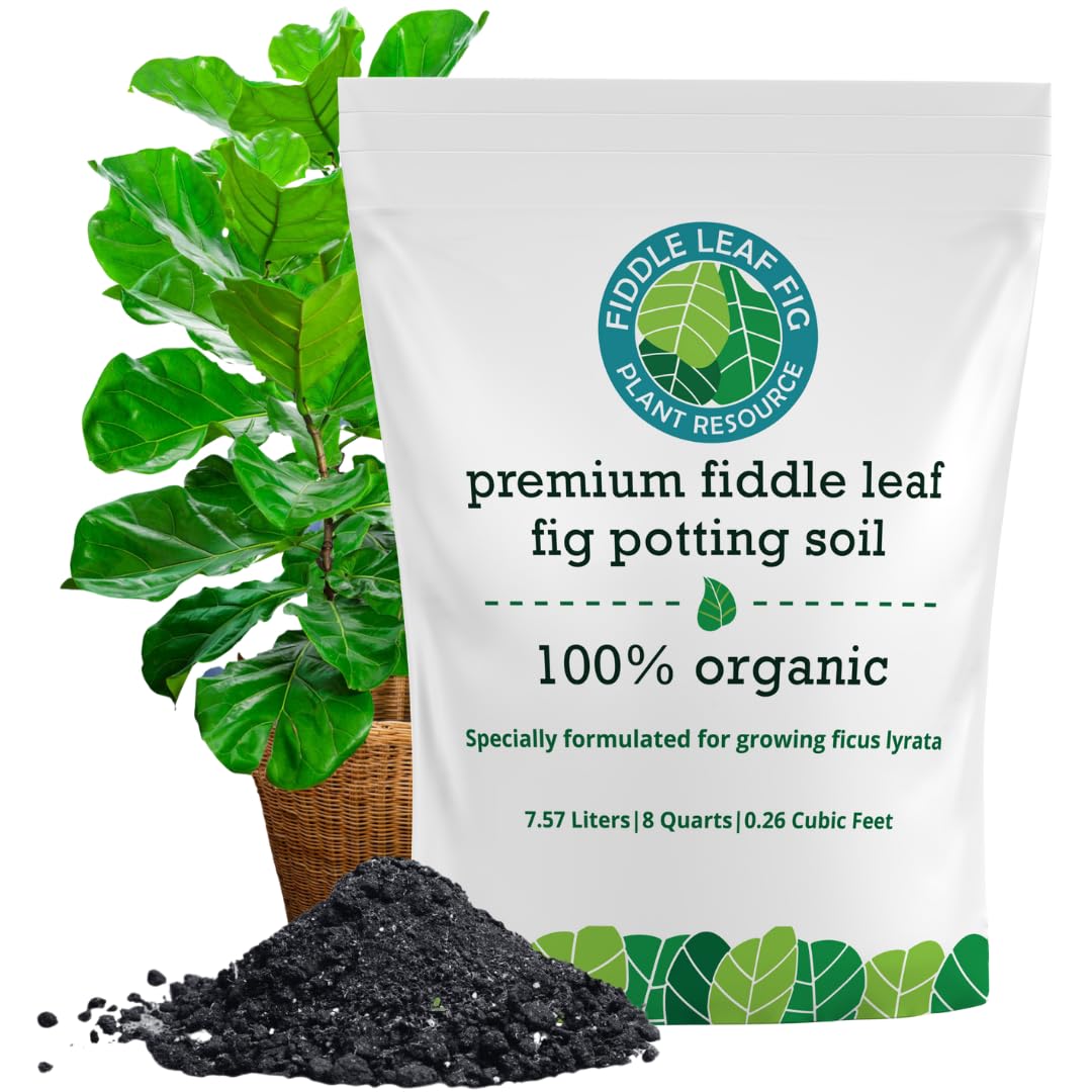 Fiddle Leaf Fig Plant Food Premium Potting Soil