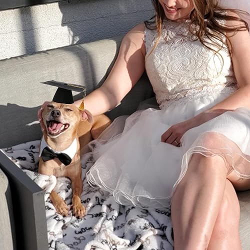 Miniatura 5 de Juego de gorras de graduación para perros, sombreros de graduación para mascotas con corbatacorbatabandana, disfraz de fiesta de vacaciones, ropa de