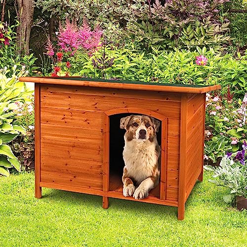 Outdoor Pet Insulated Wooden Dog Puppy Easy Assemble Kennel 