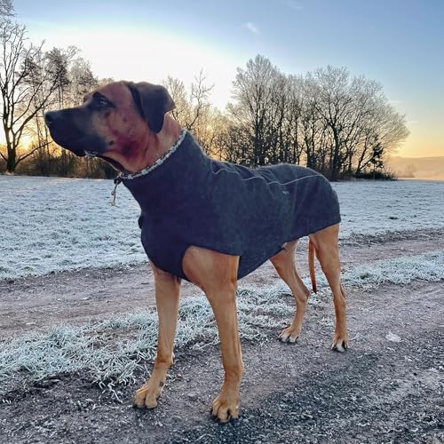 EDEL&SCHNELL Hundemantel wasserdicht, Woll-Wintermantel für Ridgebacks, Dalmatiner, Weimaraner und andere schlanke Rassen, Hunde Wintermantel Größe 70-75