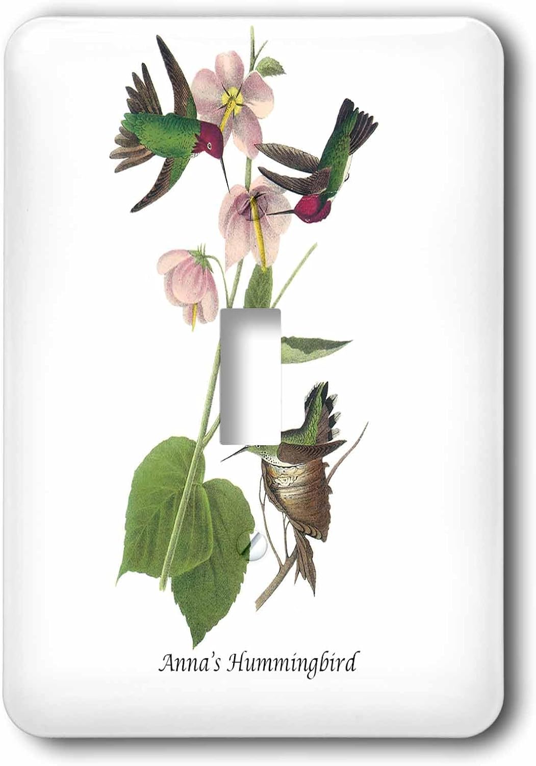 3dRose lsp_114060_2 Annas Hummingbird By John James Audubon Double Toggle Switch