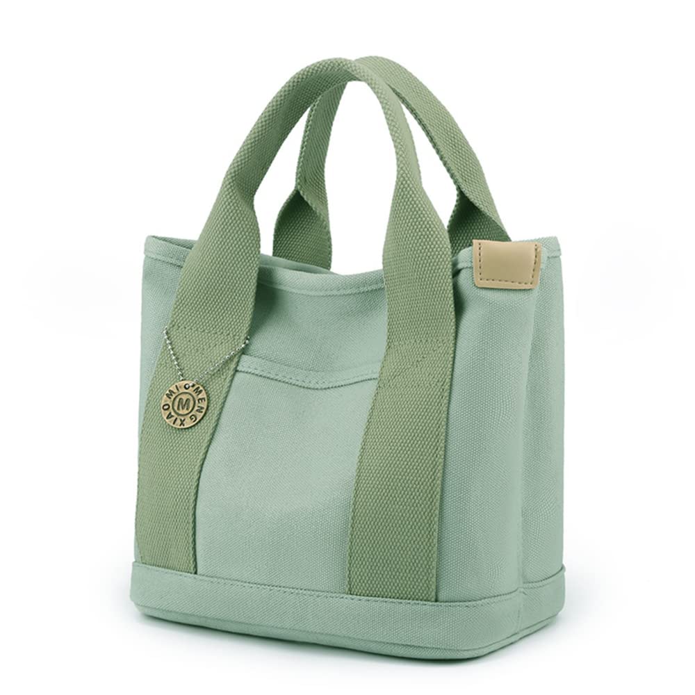 Amazon.com: Small Tote Bag for Women Wear Resistant Zipper Handbag