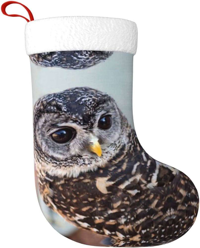 Personalized owl christmas stockings Clearance
