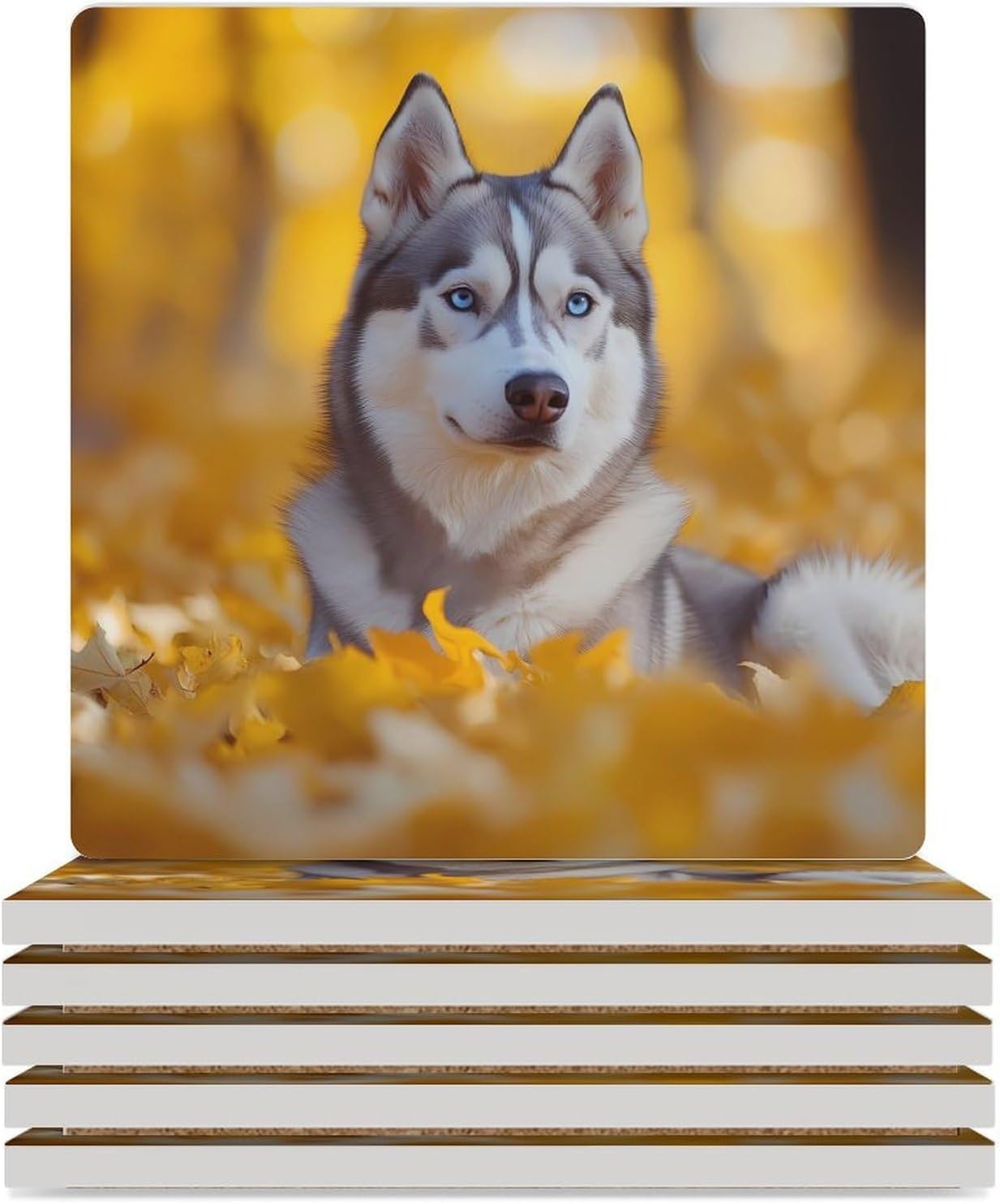 Siberian Husky Dog Coasters for Drinks Square Table Coasters Set Cup Mats with Cork Base