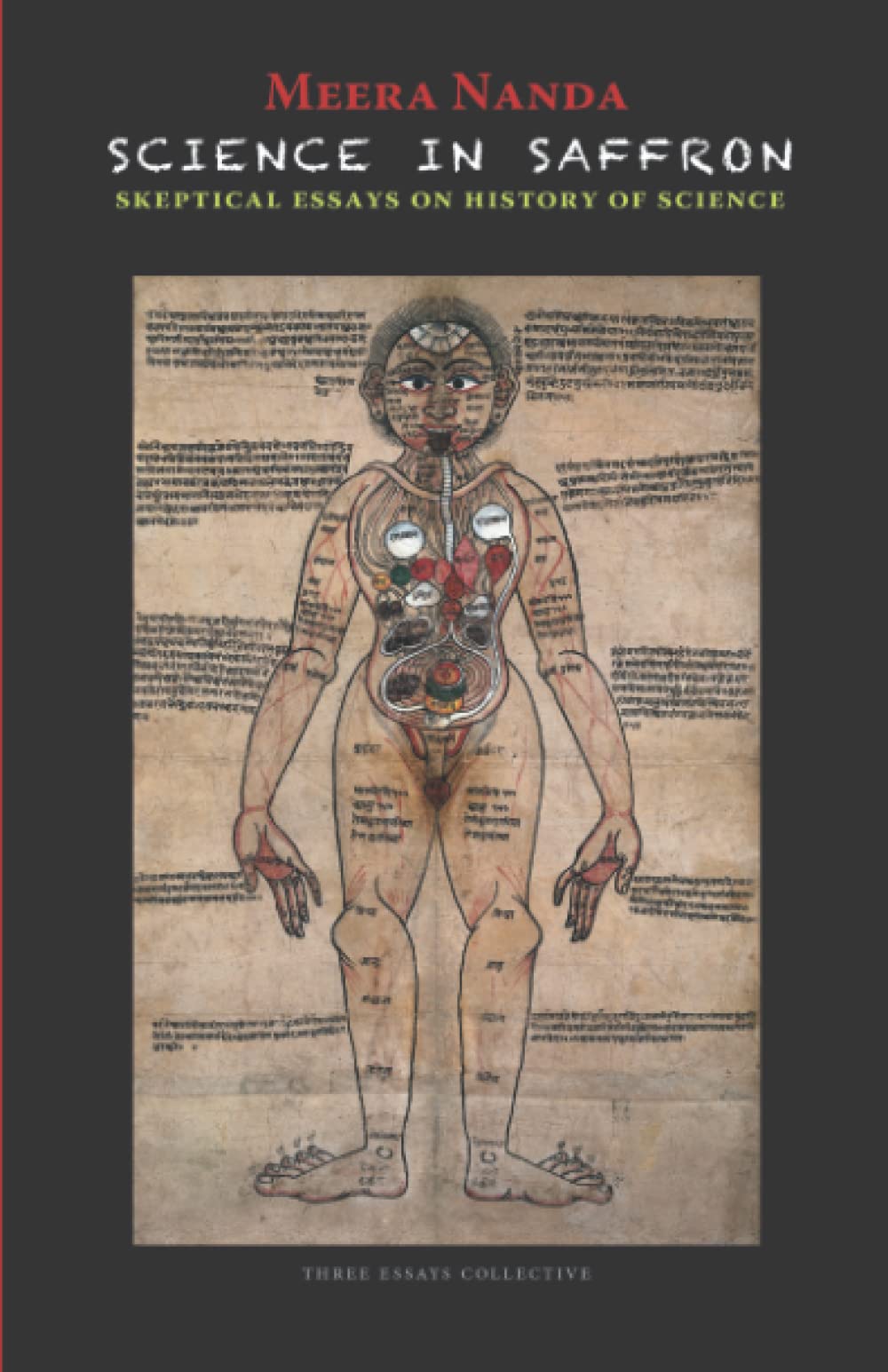 Science in Saffron: Skeptical Essays on History of Science