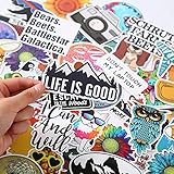 Perfekt für Gitarre Drum Laptops Skateboards, Gepäck, Autos, Stoßstangen, Fahrräder, Fahrräder, Schlafzimmer, Travel Case, Fahrrad, Motorrad, Snowboard