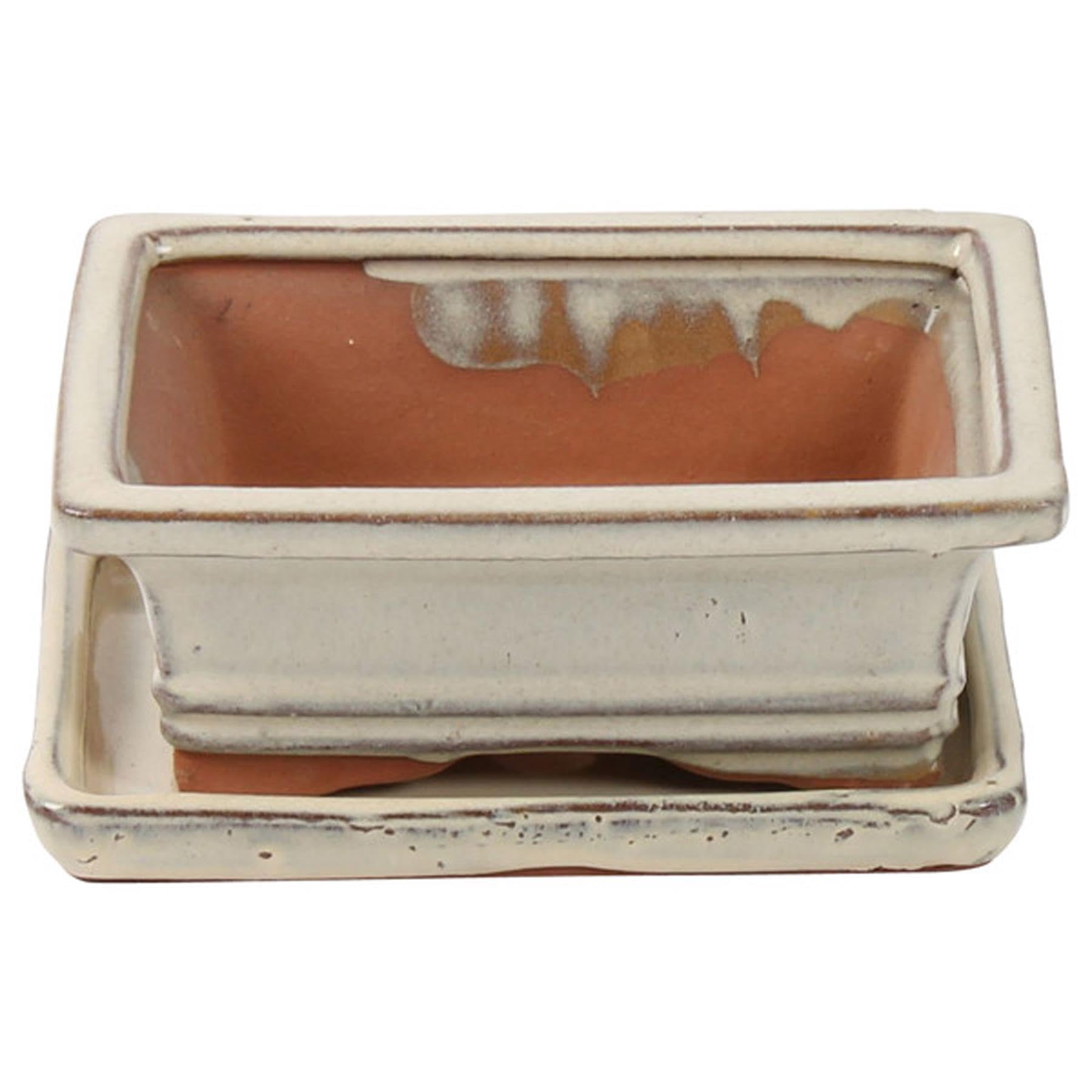 Perfect Plants White Bonsai Pot With Saucer - Rectangular 15Cm - Perfect For Bonsai Trees And Succulents