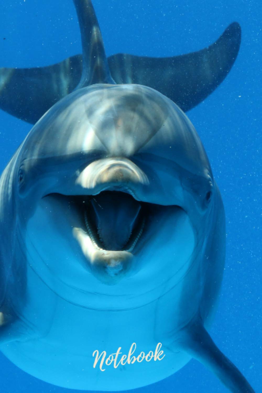 Dolphin Notebook: blank lined composition journal | Dolphin journal | 100 pages