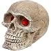 Penn-Plax Skull Grazer Ornament, Mini