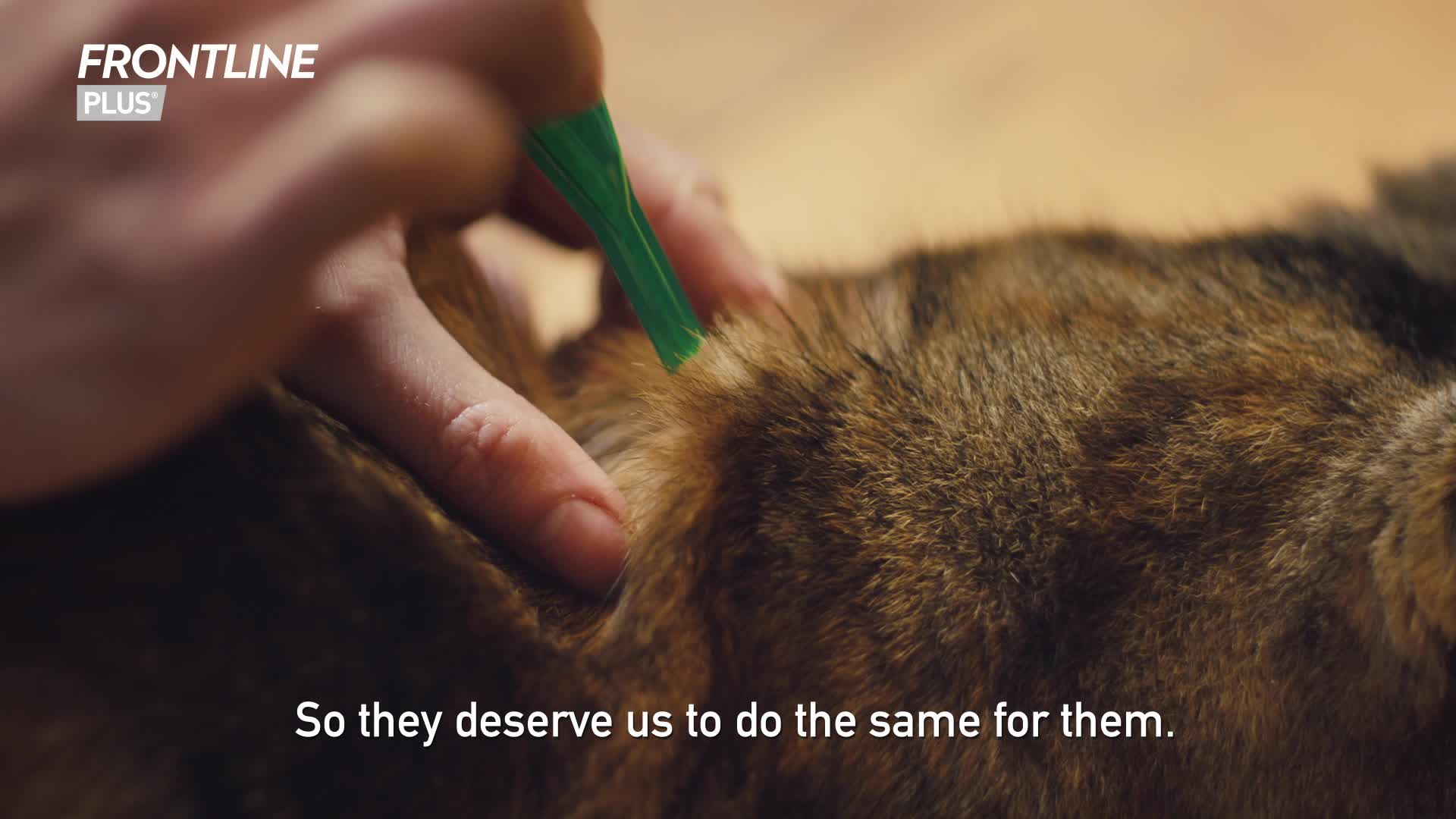 frontline plus amazon uk