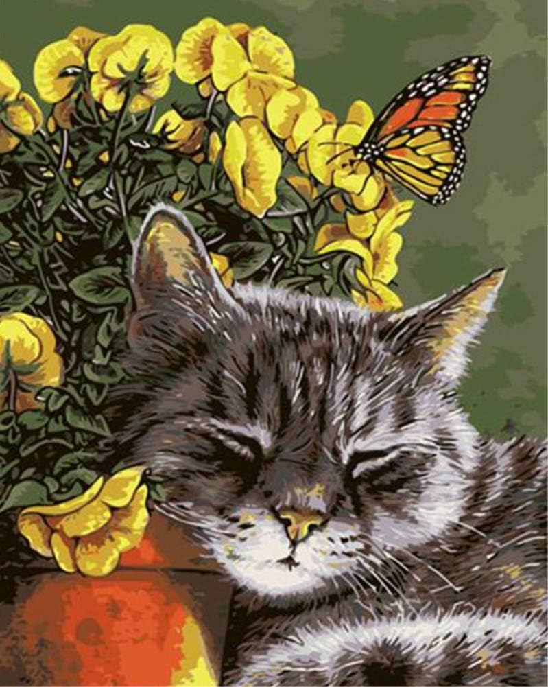 DIY Paint by Numbers for Adults ABEUTY Butterfly Flower & Kitten 16x20 inches Number Painting Art Therapy