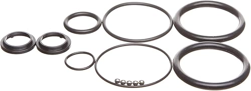 REPLACEMENTKITS.COM La marca se adapta a Mercury Mariner Force Trim Tilt Cylinder Rebuild Seal Kit Sustituye 813432A3