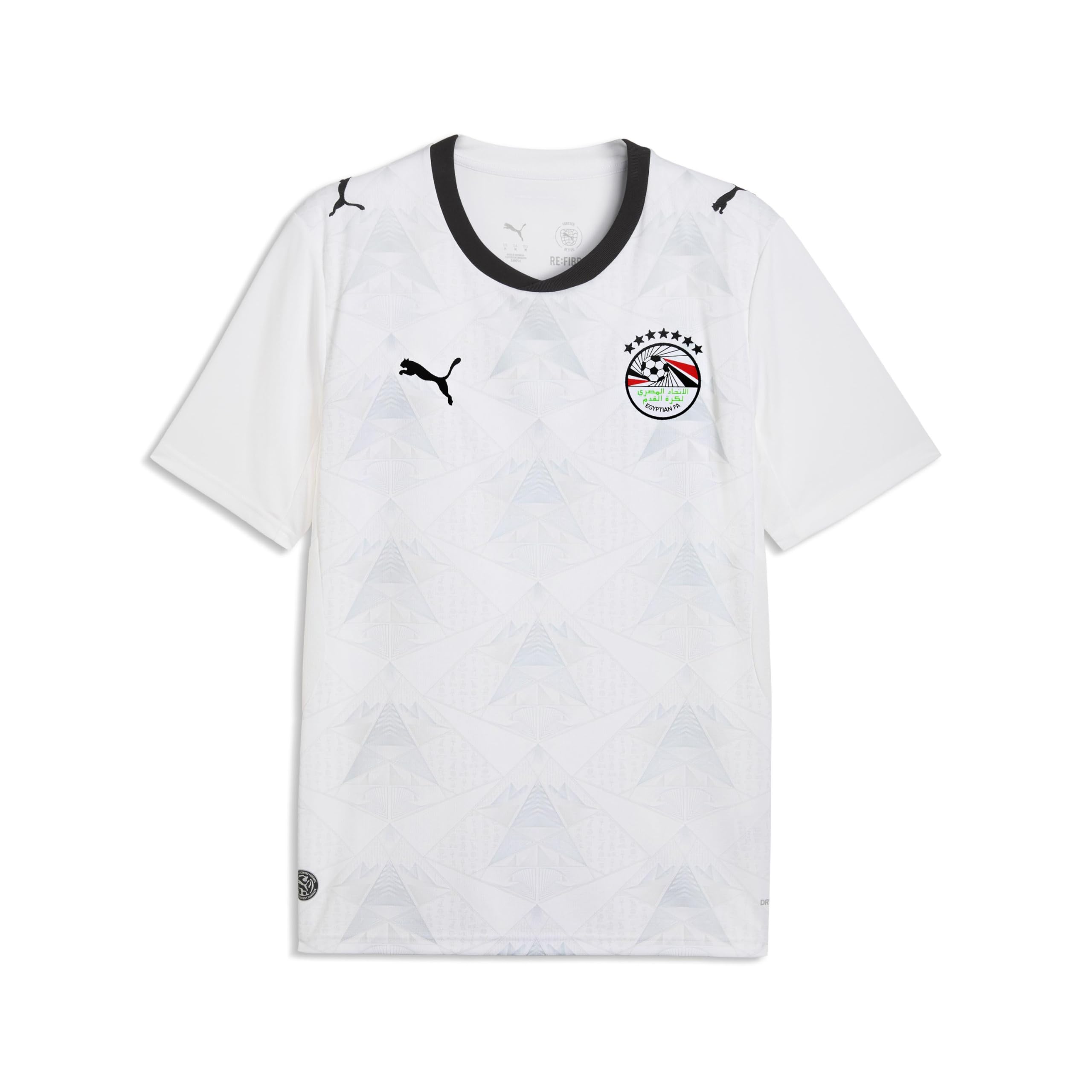 Puma Egypt 2026 Away Shirt Spring Fern White