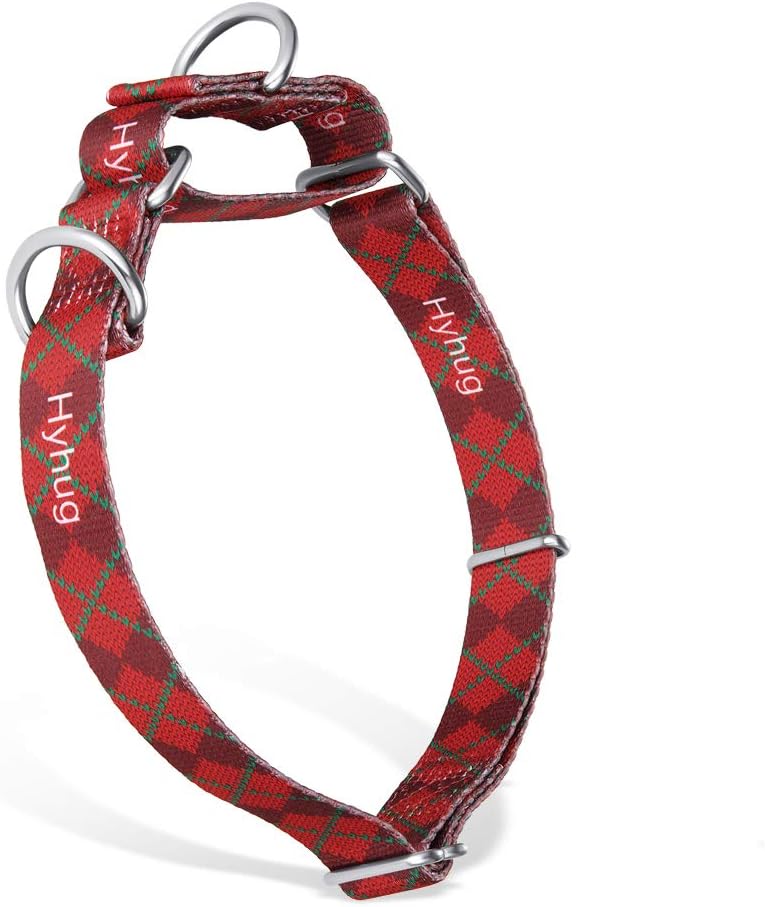 Upgraded Martingale Dog Collar for Small Boy and Girl Doggie Professional Training Daily Use Walking - Double Ring Attached ID…