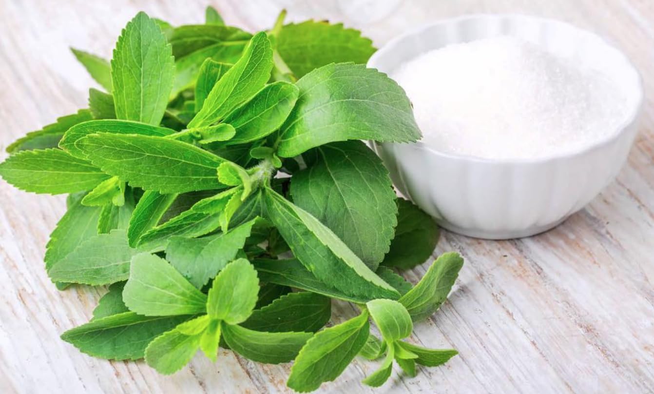 Stevia Natur sweet "Endulzando la vida"