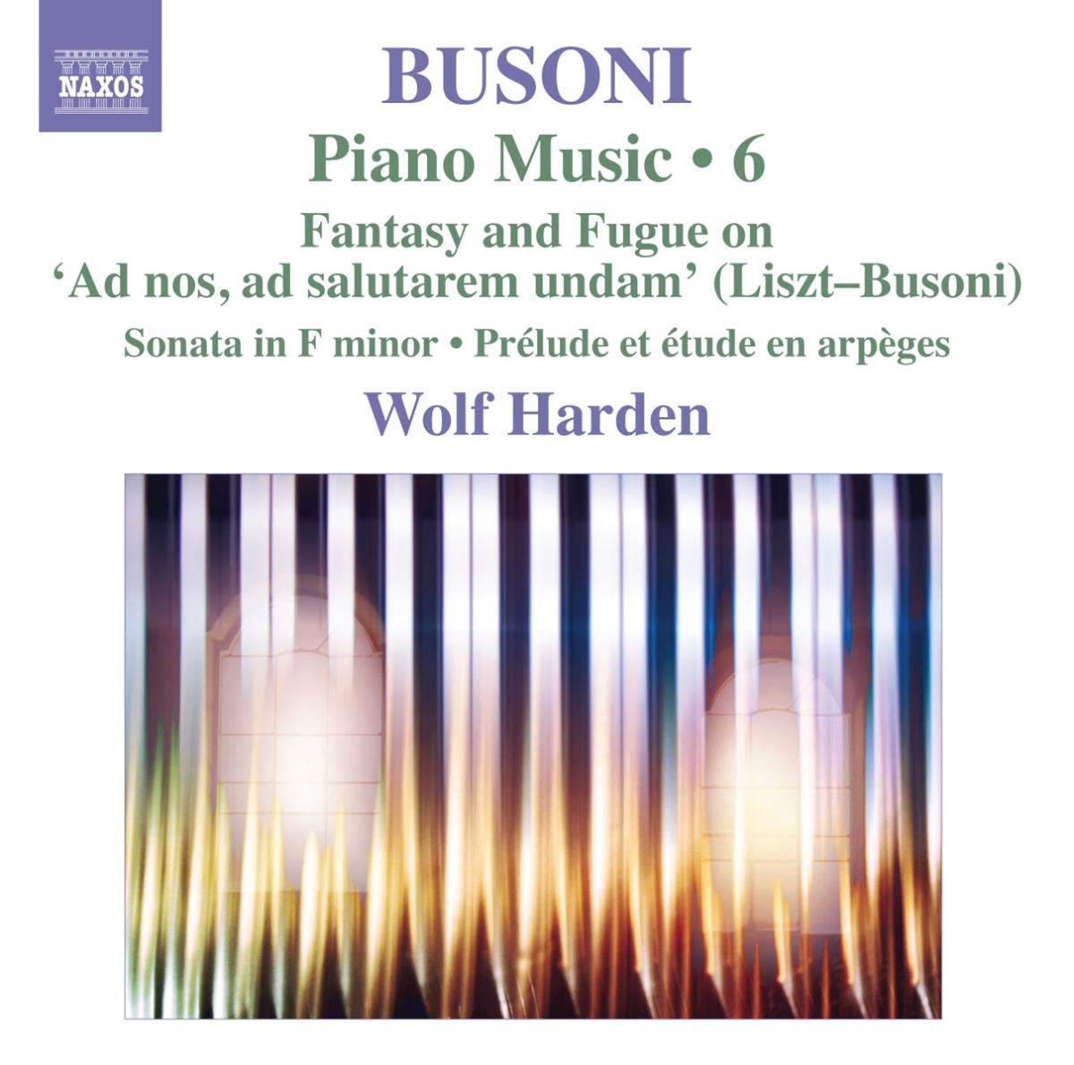 Busoni: Piano Music Vol.6