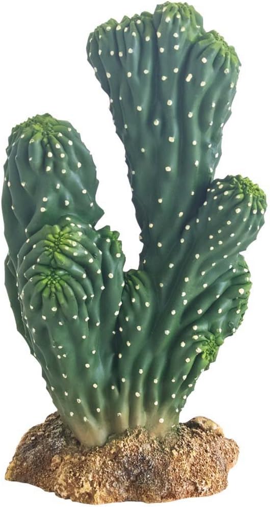 Hobby Victoria Cactus Figurine Height 19cm