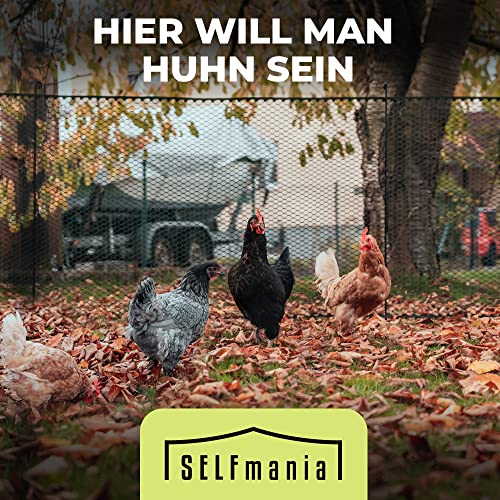 Mobiler Hundezaun 1x25m - Flexibler Begrenzungszaun Grün