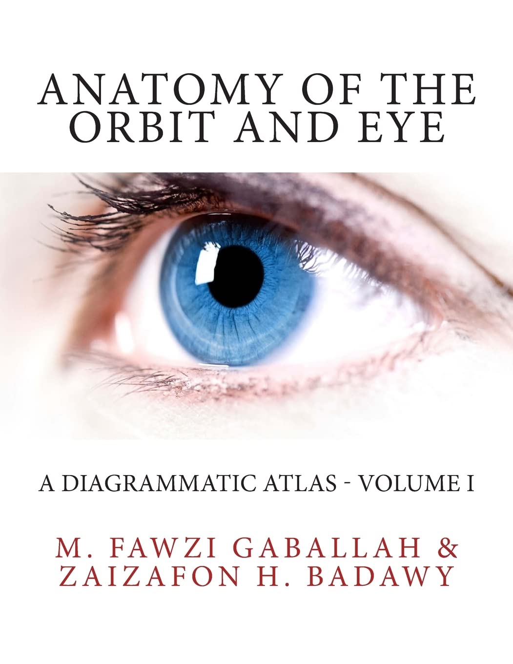 Anatomy of the Orbit and Eye: A Diagrammatic Atlas - Volume I: Volume 1