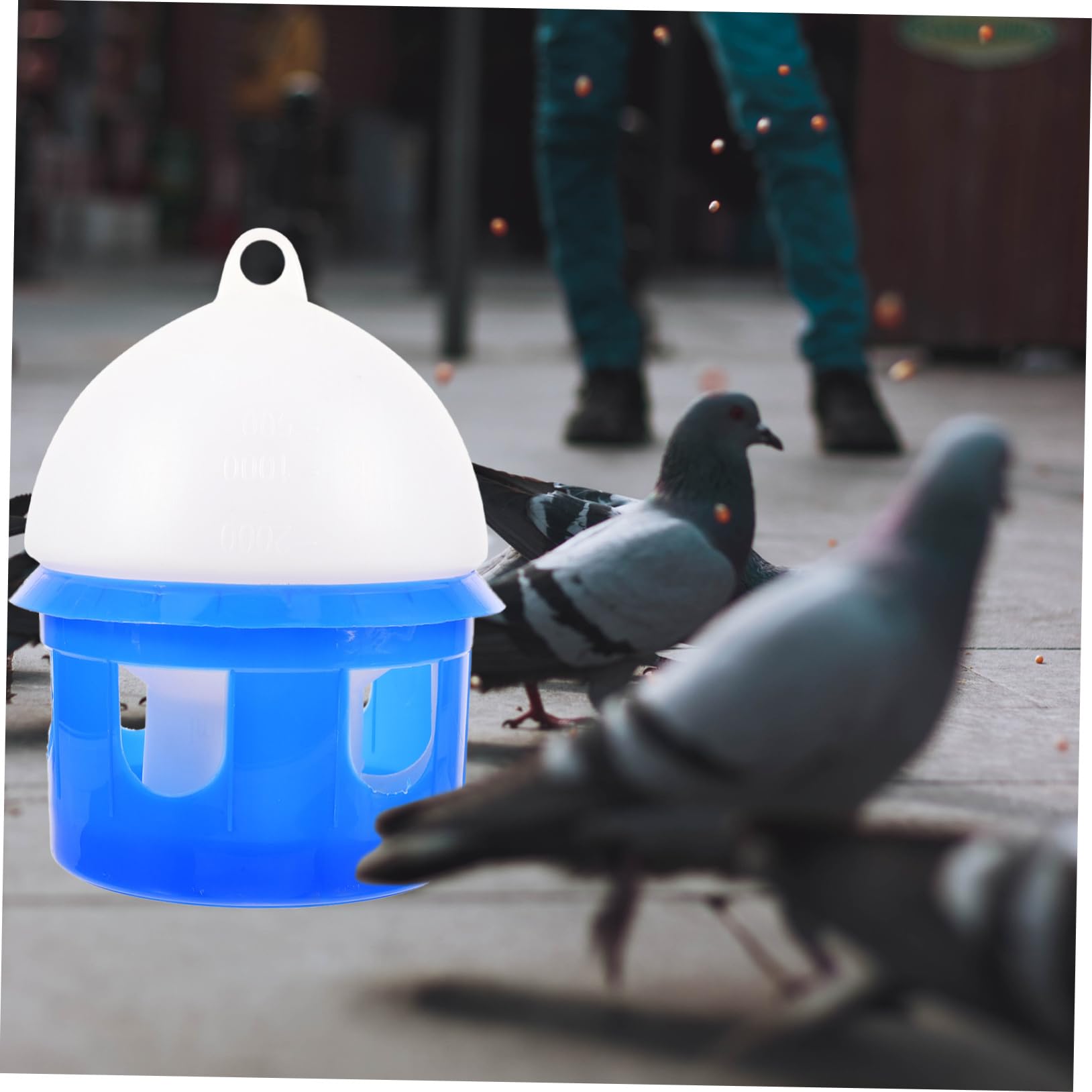 Blauer Vogeltränke aus Kunststoff mit Abnehmbarer Schale für Haustaube Papagei Taube