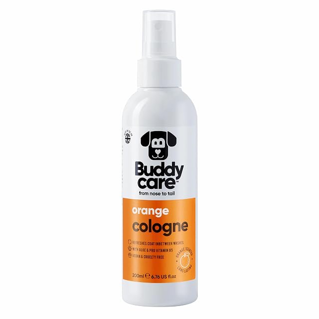 Buddycare Perfume para perros - Naranja - Aroma afrutado y audaz - Refresca entre lavados de perros