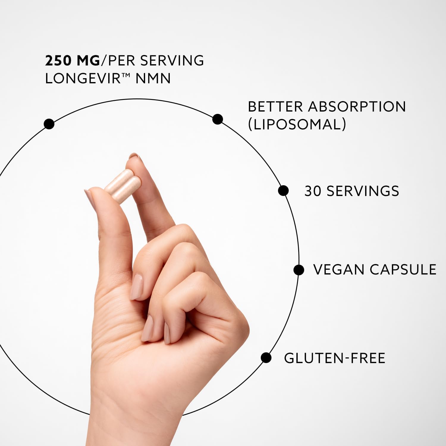 PUROVITALIS Liposomal NMN, 250mg Longevir Nicotinamide Mononucleotide Supplement, NAD+ Boost for Cellular Health, Energy & Healthy Aging, 1-Month Supply (60 Vegan Capsules) - Image 3