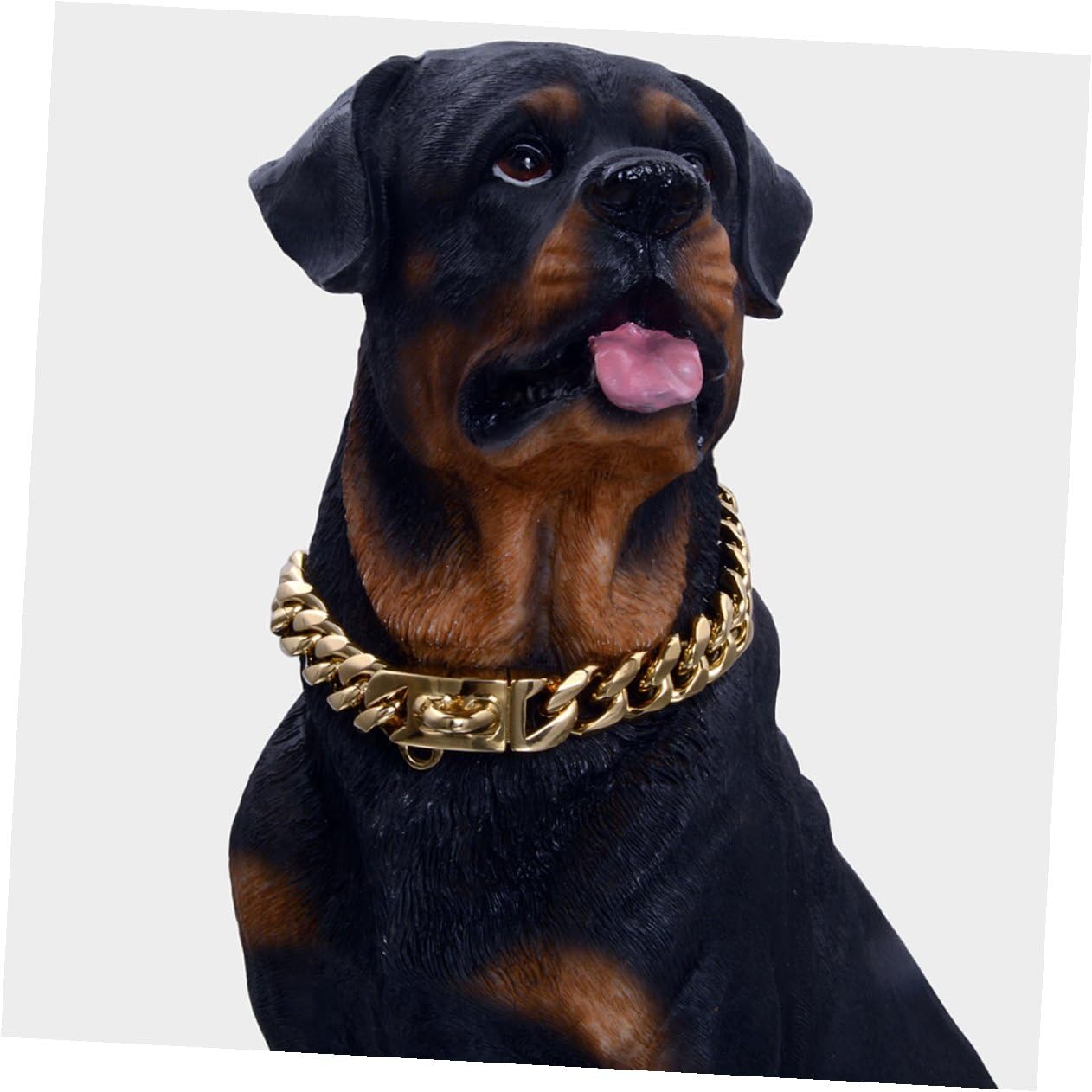 Collier à Chien Résistant en pour Acier Inoxydable Or l'usure Confortable à Porter, Facile à Mettre Enlever, Accessoire Décoratif pour Chiots