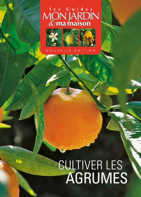 Cultiver les agrumes