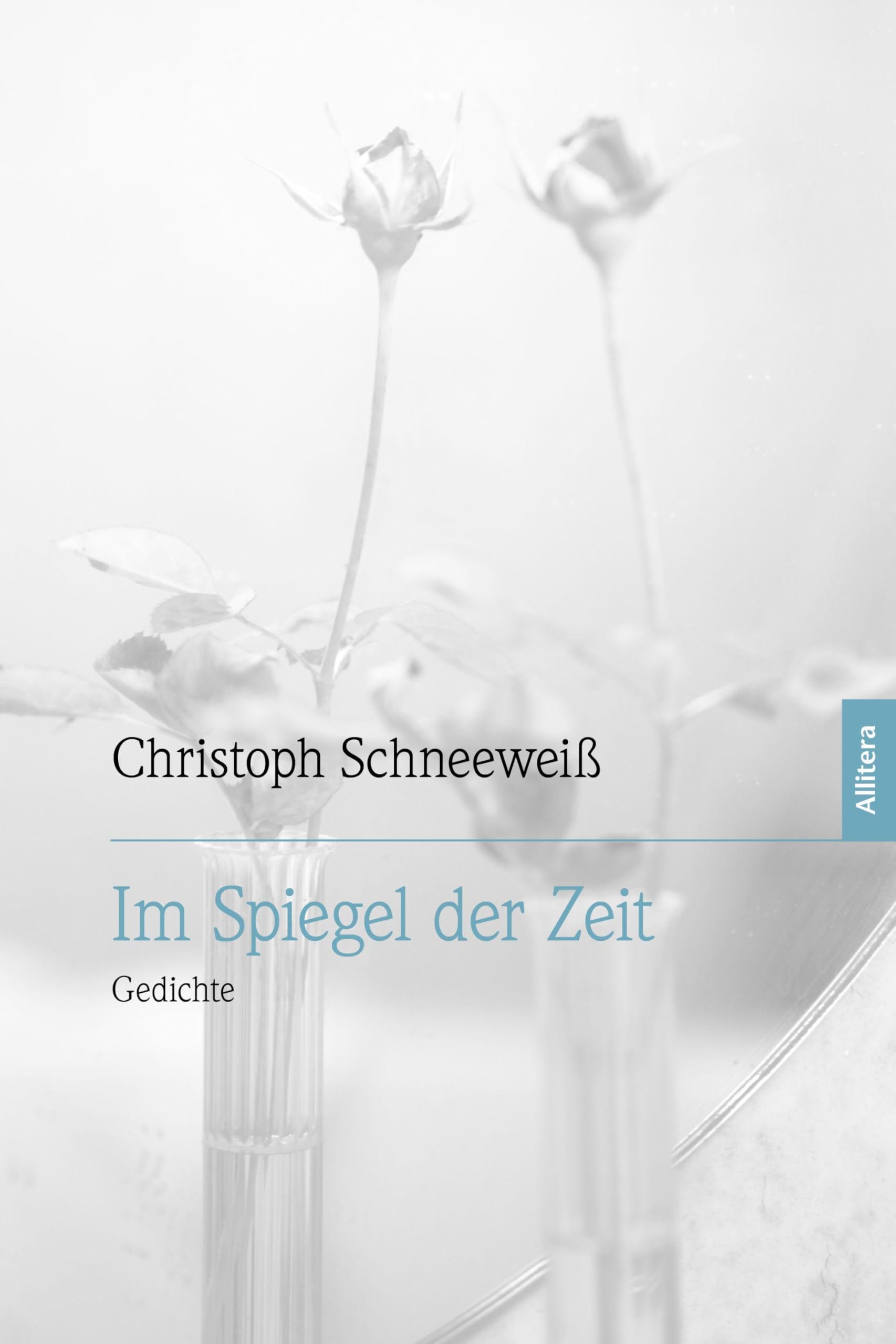 Im Spiegel der Zeit: Gedichte
