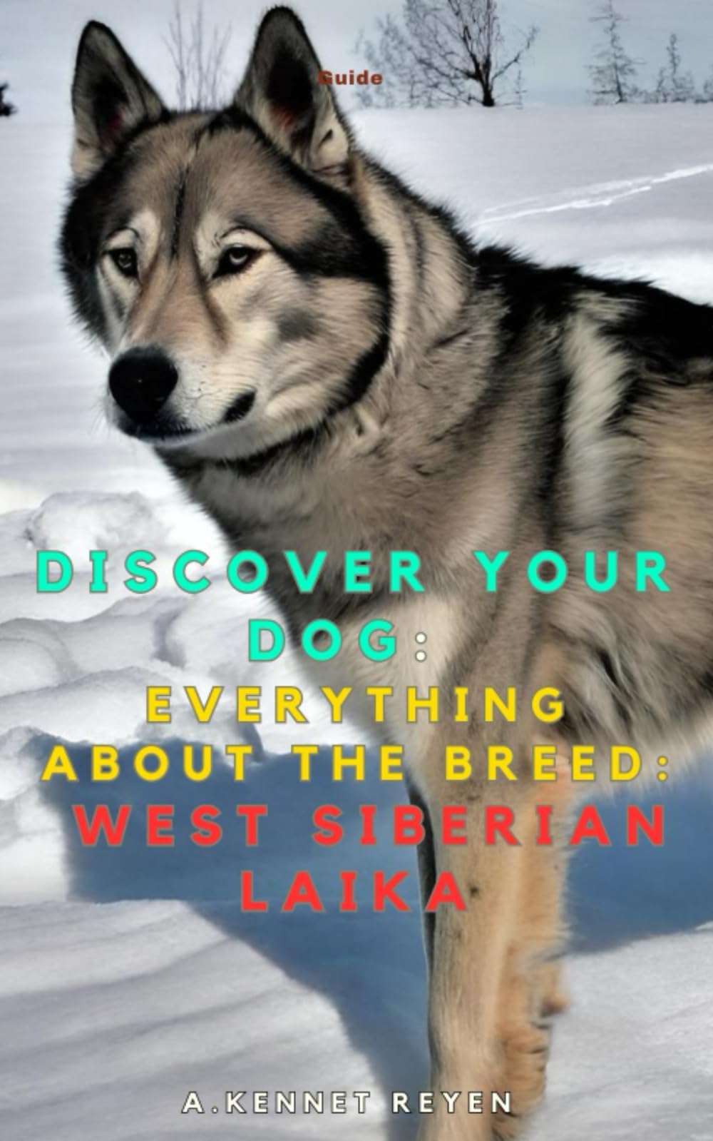 Discover your dog: Everything about the breed: West Siberian Laika