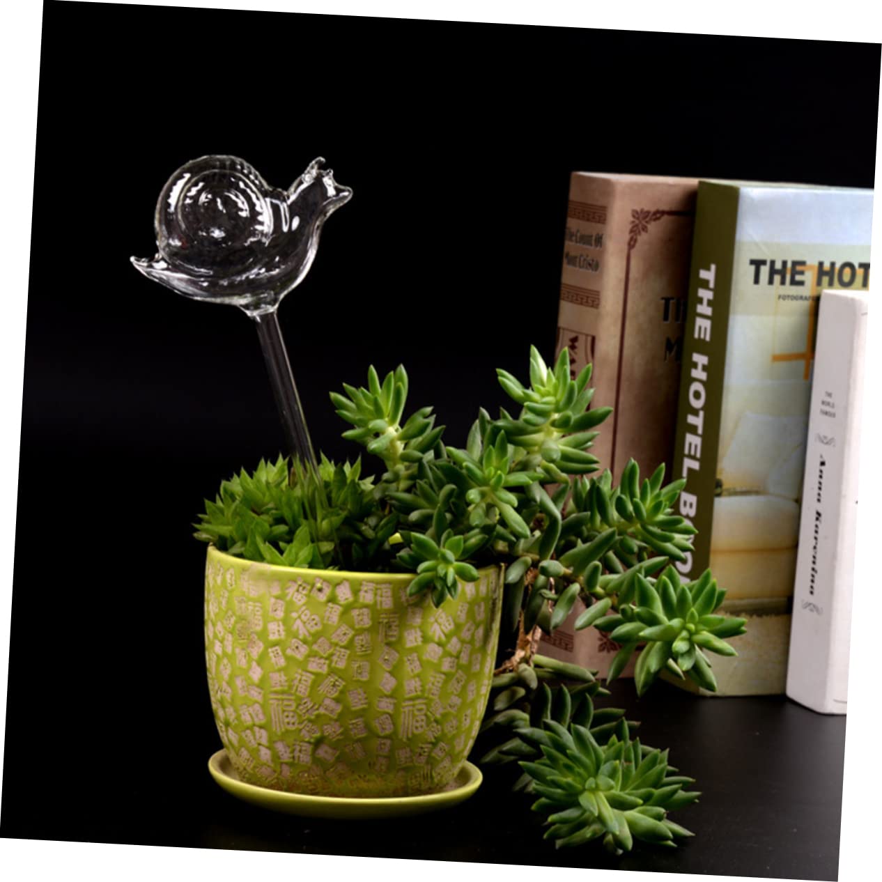 POPETPOP Dispositif D'arrosage Automatique pour Plantes 3 Pièces Pointes D'arrosage Automatique en Verre Irrigation À pour Plantes en Pot
