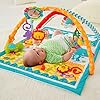 Fisher-Price Wigglin' Play Gym by Fisher-Price #4