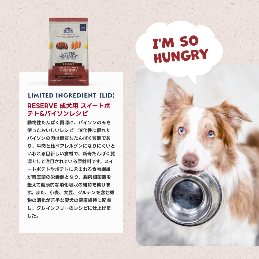 ナチュラルバランス Duck & Potato Recipe 5kg 犬｜ナチュラルバランス