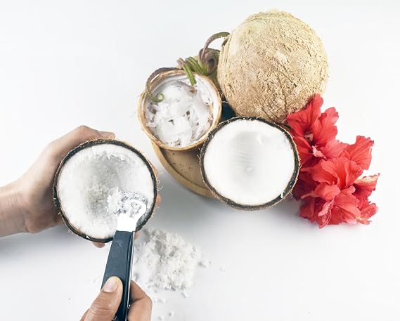 Small Size Handle Coconut Grater - Durable Sharp Stainless Steel Blade Shredder & Multi-Purpose Rasp for Easy Use Efficient Shredding Tool (Plastic handle & stainless steel)