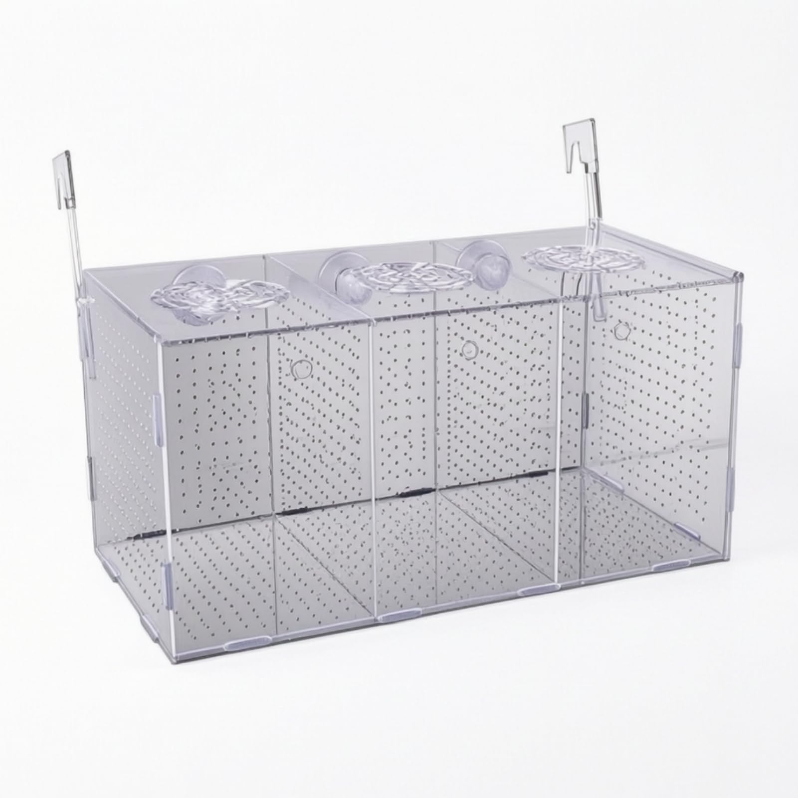 Reproductora Peces Triple Compartimento Seguro, Perforado, Parira Acrílico con Ventosas, Acuaristas, 40x15x20cm