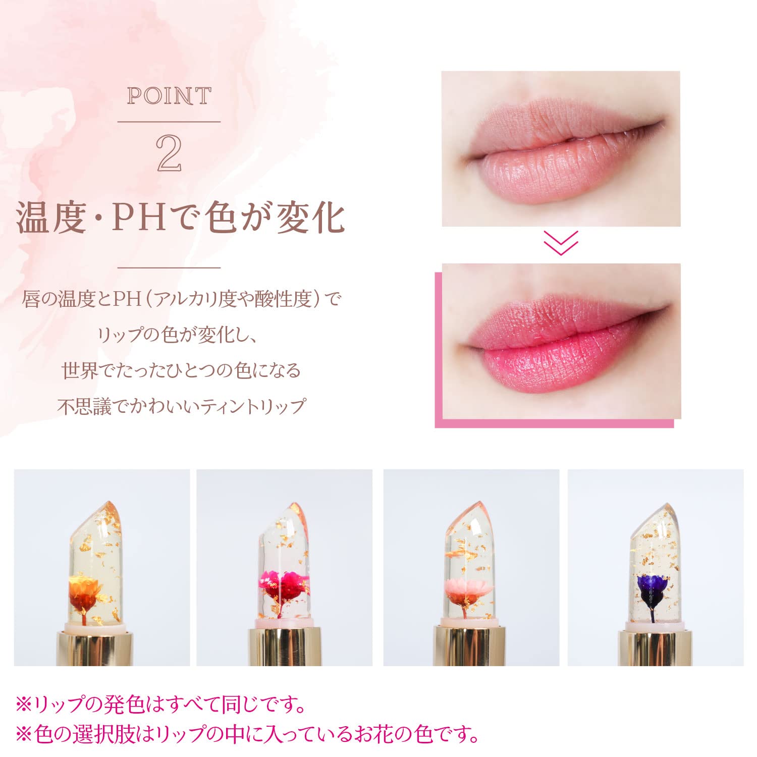Amazon | [np] [ラッピング可] カイリジュメイ kailijumei 正規品