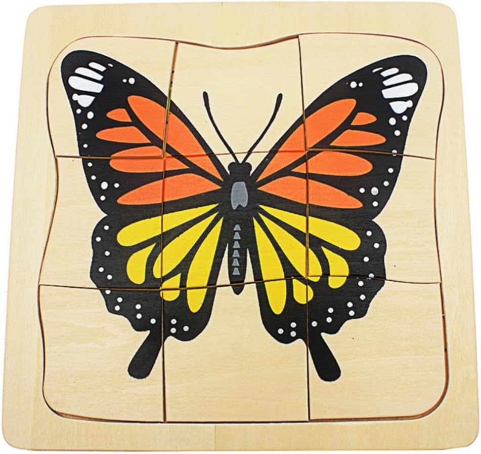 Toddler Montessori Science Toys Life Cycle of Butterfly Grow up 3D Puzzle Panel Preschool Infant Animals & Nature Kindergarten Butterfly Growth Puzzle