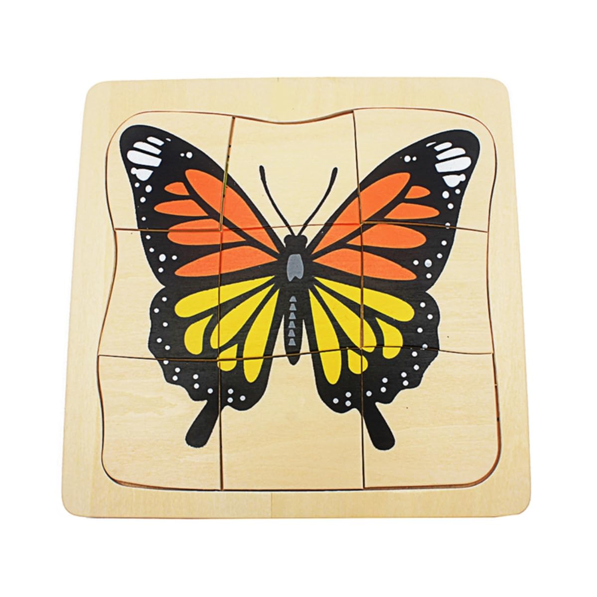 Toddler Montessori Science Toys Life Cycle of Butterfly Grow up 3D Puzzle Panel Preschool Infant Animals & Nature Kindergarten Butterfly Growth Puzzle