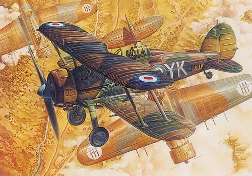 Roden 1/48 Gloster Gladiator Mk.I # 408 by Roden