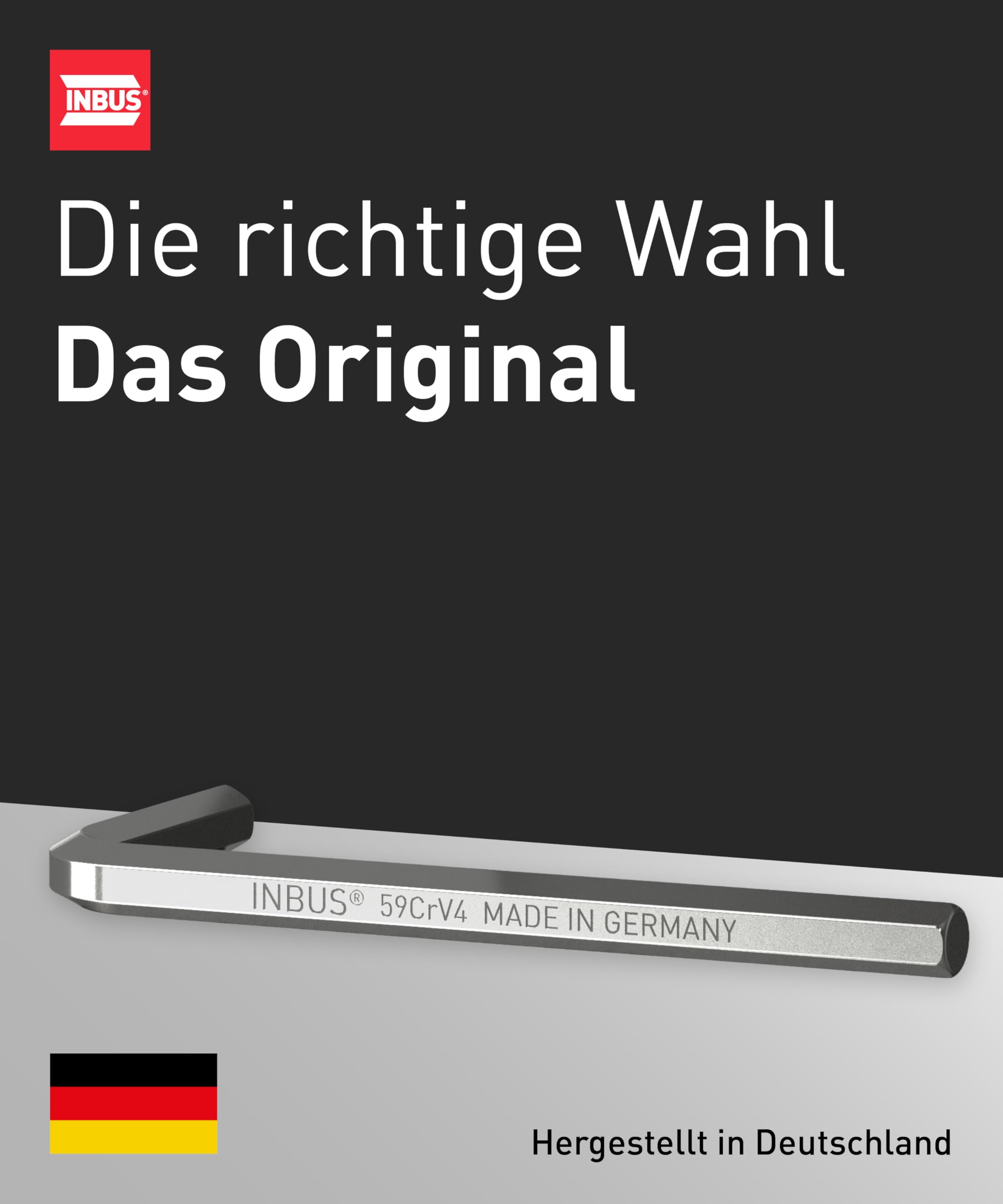 INBUS® Clé Allen 5mm, 100pcs | Das Original. Made in Germany. (ID: 73486)