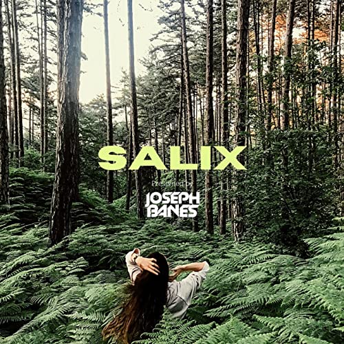 Salix