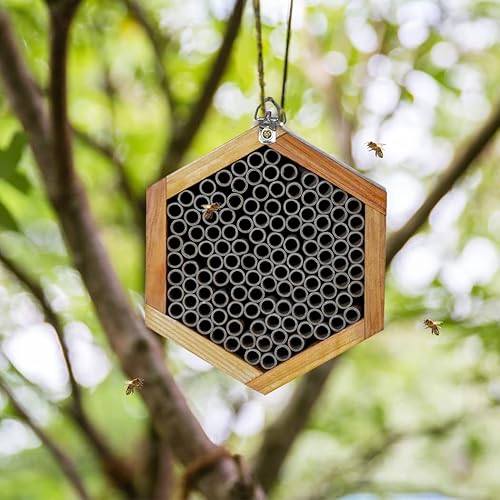 Miniatura 3 de Mason Bee House - Colmena de abejas de madera natural hecha a mano recubierta con cera para una larga vida útil y resistente al agua - Atrae