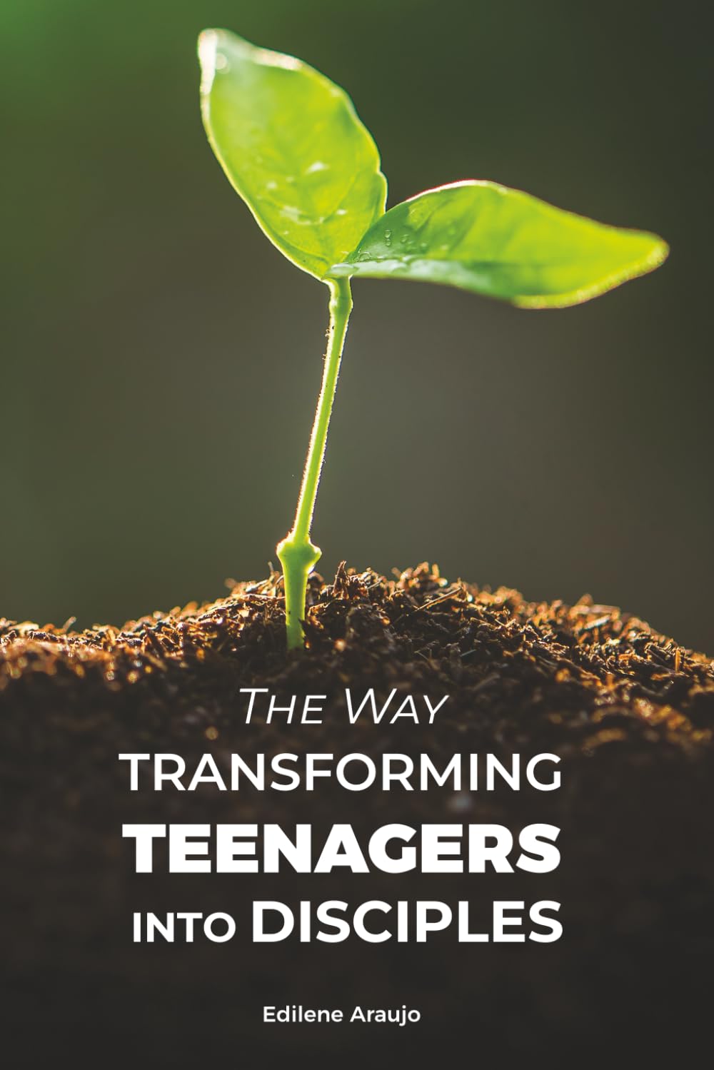 THE WAY: Transforming Teenagers into Disciples: A Relational Path of Discipleship, Spiritual Formation, Community, and Mission in Adolescence.