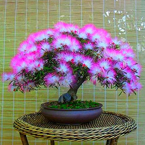 bonsai fake Artificial Bonsai Tree