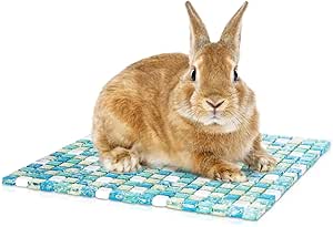 Shurzzesj Kühlkissen Für Hamster & Kaninchen - Kristallglas Kühlmatte 10x10cm