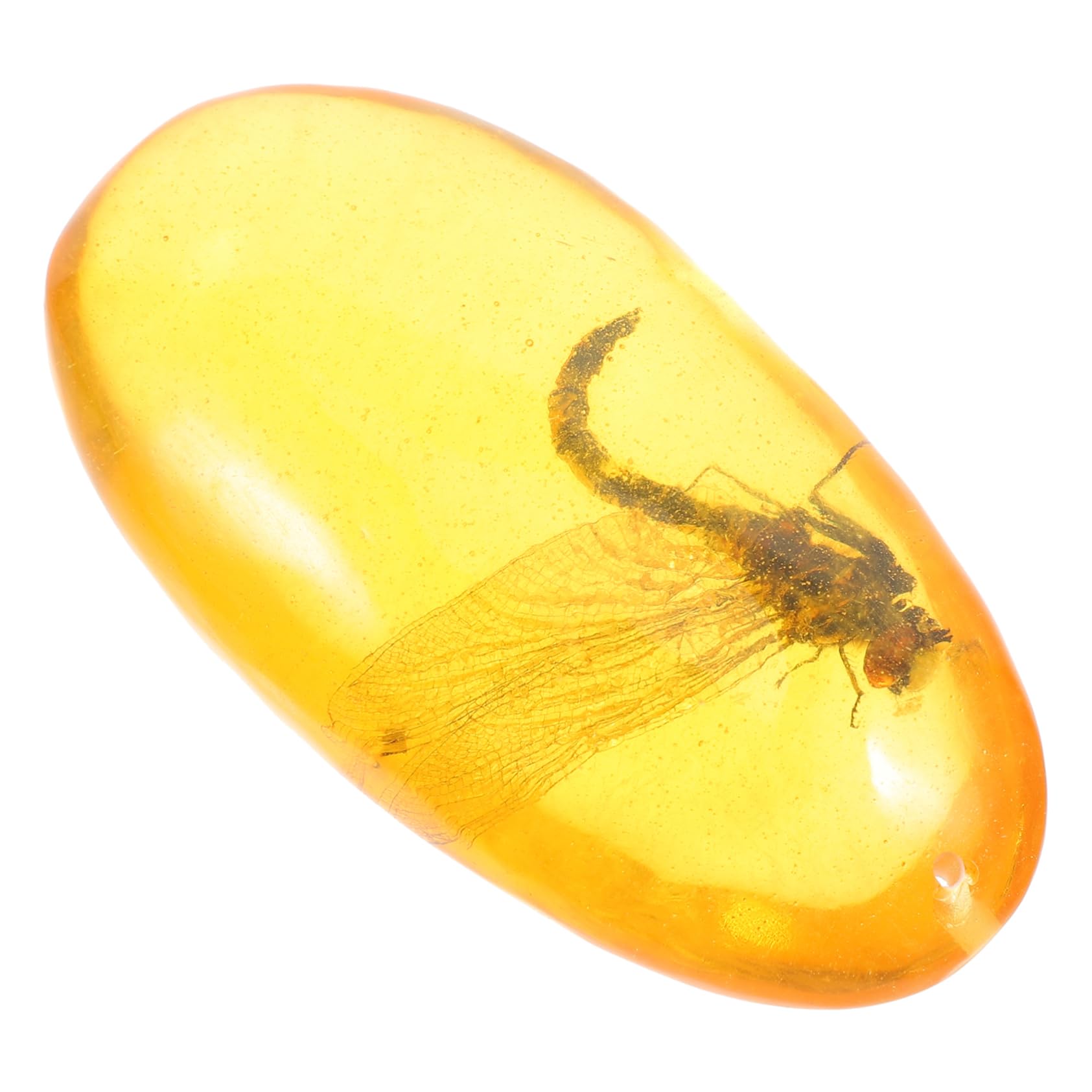 SOESFOUFU Amber Insect Ornament Insect Stone Amber Insect Specimen Home Decor Amber Adornment Insect Collection Amber Stone Specimen Insect Adornment Unique Stones Insect Decor Resin